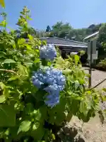 矢田寺の{uncategorized: "未分類", other: "その他", undefined: "問題あり", building: "その他建物", grave: "お墓", sacred_gate: "鳥居", guardian: "狛犬", statue: "像", buddha: "仏像", history: "歴史", nature: "自然", garden: "庭園", animal: "動物", pagoda: "塔", temizu: "手水舎", mountain_gate: "山門・神門", sanctuary: "本殿・本堂", subordinate: "末社・摂社", art: "芸術", scenery: "景色", jizo: "地蔵", ema: "絵馬", goshuin: "御朱印", omikuji: "おみくじ", items: "授与品その他", amulet: "お守り", goshuincho: "御朱印帳", eats: "食事", festival: "お祭り", votive_dance: "神楽", shichigosan: "七五三参", wedding: "結婚式", experience: "体験その他", initially: "初詣", around: "周辺", anti_infection: "感染症対策"}