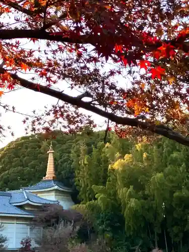 本土寺(千葉県)