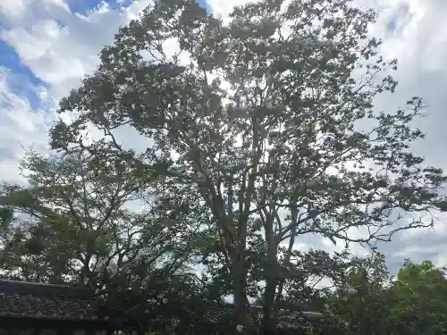 世尊寺(奈良県)