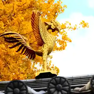 温泉山 安楽寺(四国霊場第六番札所)の狛犬(2021年11月28日(日) 20時47分46秒投稿)