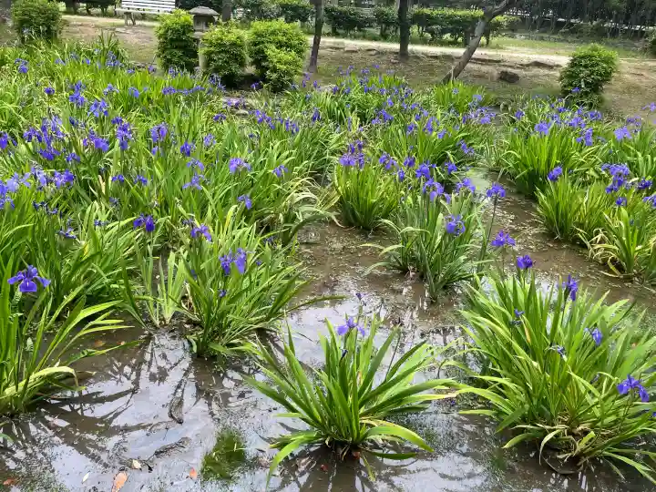 知立神社(愛知県)