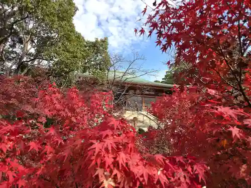 太山寺(兵庫県)