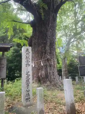 芝東照宮(東京都)