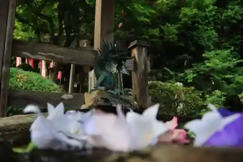 鹿島大神宮の手水