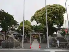 稲荷神社の鳥居