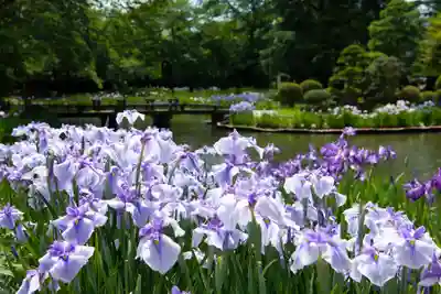 伊佐須美神社(福島県)