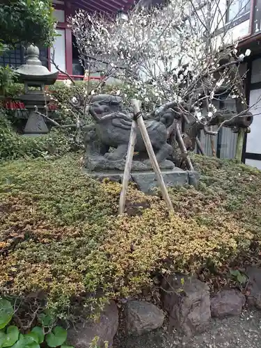 東大島神社の狛犬