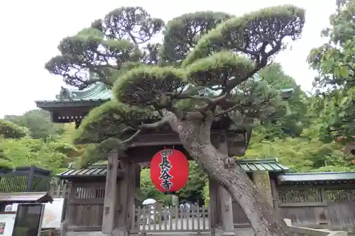 長谷寺の山門・神門