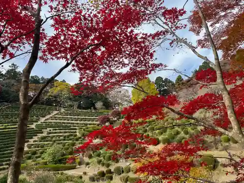 栄存神社(宮城県)