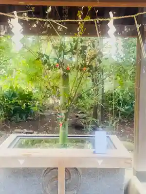 赤坂氷川神社(東京都)