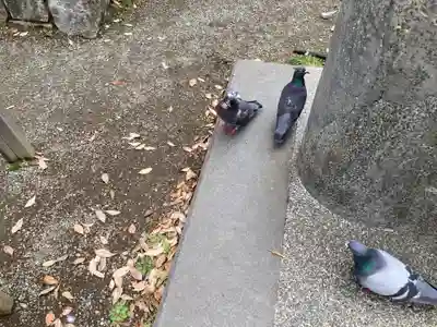 平塚八幡宮(神奈川県)