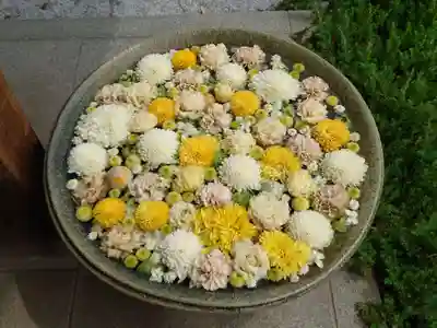 行田八幡神社(埼玉県)