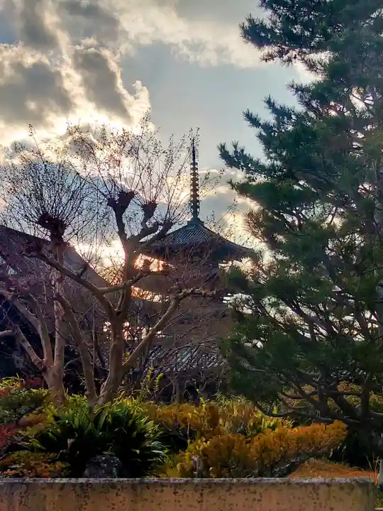 法隆寺(奈良県)