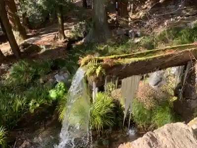 大滝神社の自然