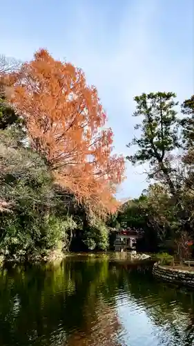 武蔵一宮氷川神社の庭園