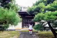 実相寺の山門・神門