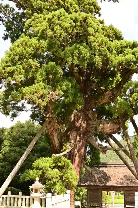 玉若酢命神社(島根県)