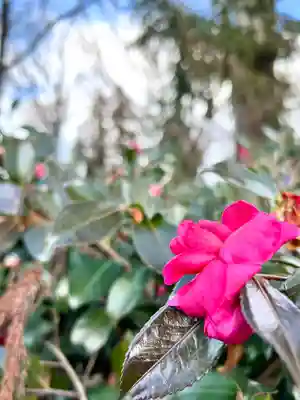 縣諏訪神社(長野県)