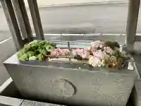 亀田八幡宮(北海道)