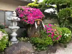 荒井神社の庭園