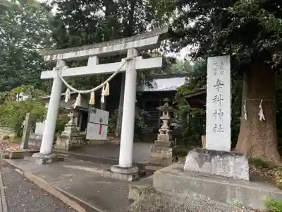 辛科神社(群馬県)