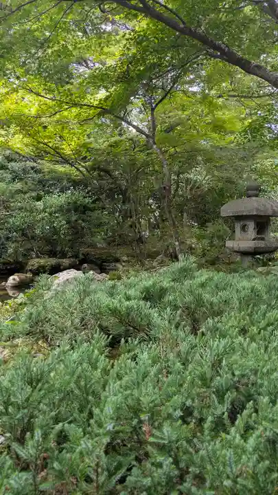 桂徳院(京都府)