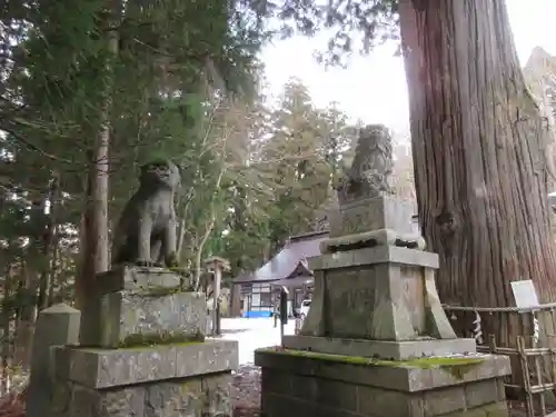 戸隠神社中社の狛犬