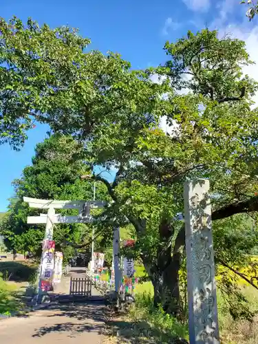 高司神社〜むすびの神の鎮まる社〜の鳥居