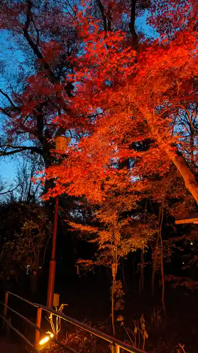 賀茂御祖神社(下鴨神社)(京都府)