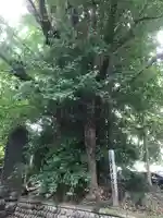 豊積神社の自然