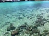 野中神社の周辺