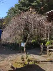 宝蓮寺(神奈川県)