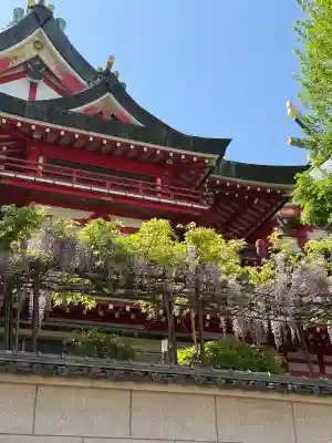 京濱伏見稲荷神社の{uncategorized: "未分類", other: "その他", undefined: "問題あり", building: "その他建物", grave: "お墓", sacred_gate: "鳥居", guardian: "狛犬", statue: "像", buddha: "仏像", history: "歴史", nature: "自然", garden: "庭園", animal: "動物", pagoda: "塔", temizu: "手水舎", mountain_gate: "山門・神門", sanctuary: "本殿・本堂", subordinate: "末社・摂社", art: "芸術", scenery: "景色", jizo: "地蔵", ema: "絵馬", goshuin: "御朱印", omikuji: "おみくじ", items: "授与品その他", amulet: "お守り", goshuincho: "御朱印帳", eats: "食事", festival: "お祭り", votive_dance: "神楽", shichigosan: "七五三参", wedding: "結婚式", experience: "体験その他", initially: "初詣", around: "周辺", anti_infection: "感染症対策"}