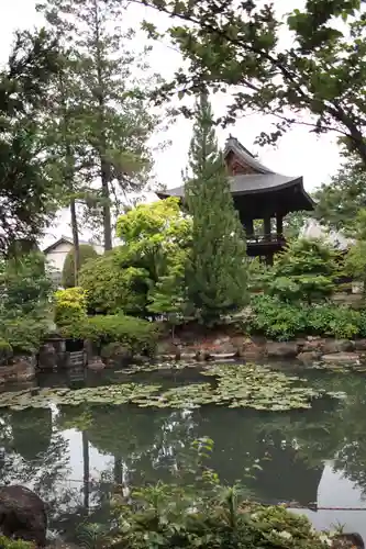 法善寺の庭園