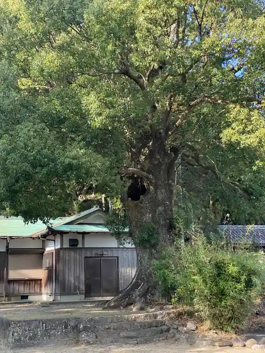 熊野三所大神社(浜の宮王子)(和歌山県)