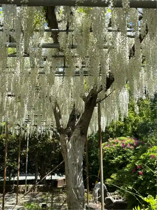 白旗神社(神奈川県)