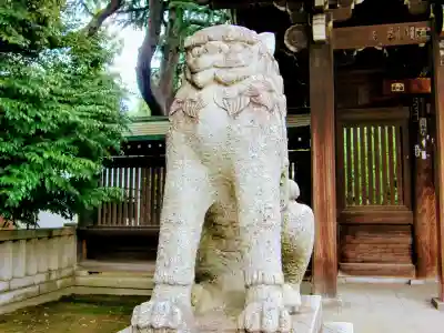 川口神社の狛犬