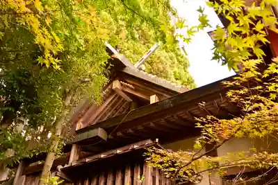 大山阿夫利神社のその他建物