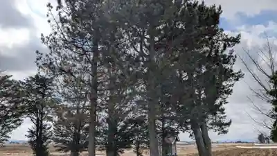 相馬妙見神社の自然