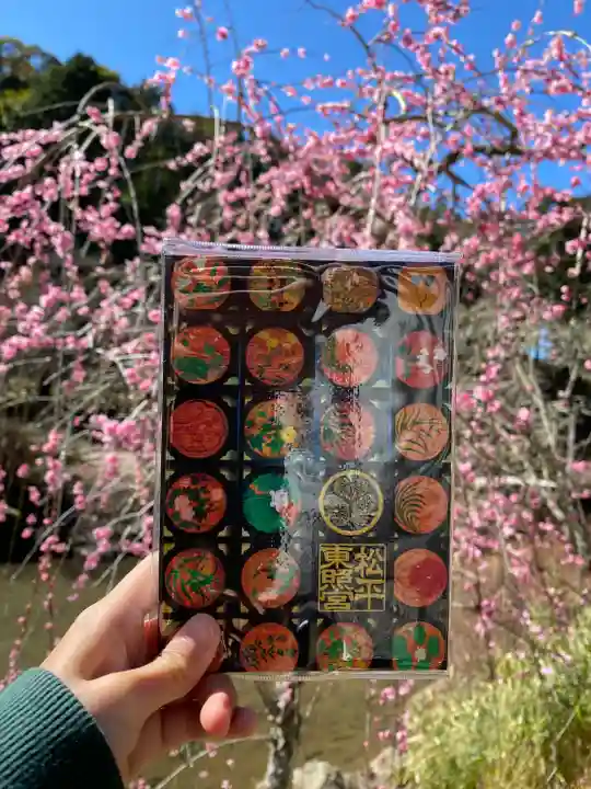 八幡神社松平東照宮(愛知県)