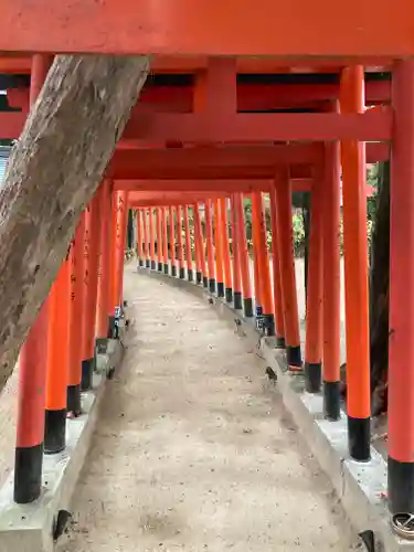 大市八幡神社(兵庫県)