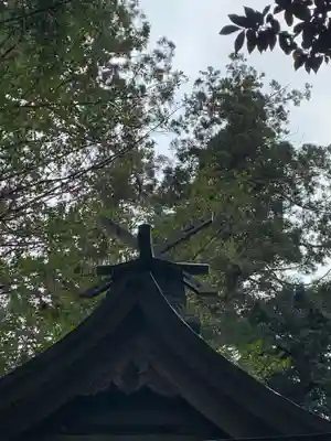 素鵞神社の本殿・本堂