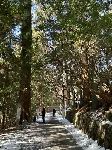 三峯神社(埼玉県)
