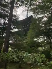 道場寺の建物その他