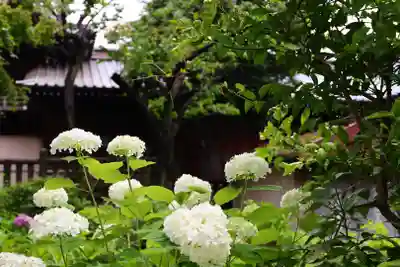 白山神社(東京都)