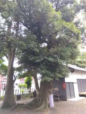八幡神社(福井県)