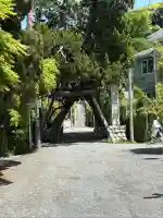 荏柄天神社(神奈川県)