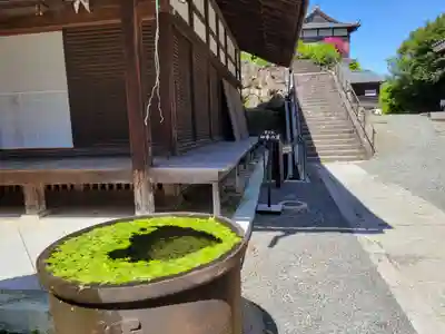 柳谷観音　楊谷寺(京都府)