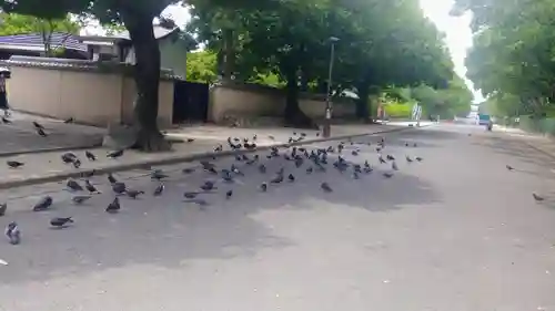 筥崎宮(福岡県)