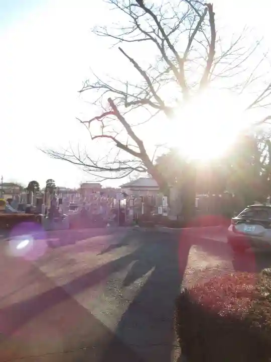 真光寺(千葉県)